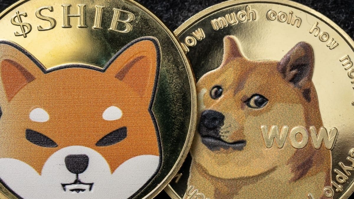 Dogecoin zakt hard weg, terwijl grote investeerders blijven kopen Een afbeelding van muntjes van de crypto memecoins dogecoin (DOGE) en shiba inu (SHIB)