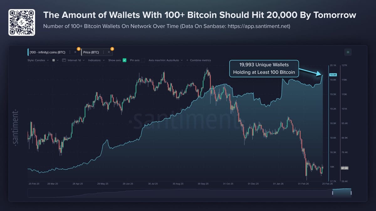 Bitcoin wallets Santiment