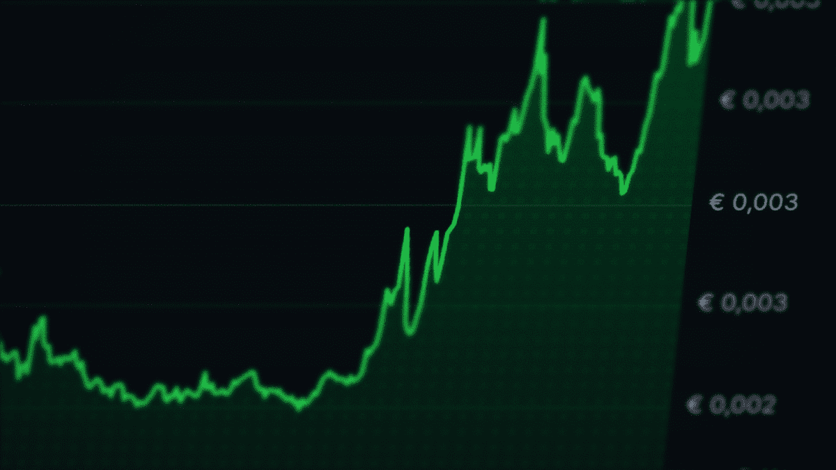 Cryptomunt Zebec stormt top 100 binnen, gaat samenwerken met Stellar Cryptomunt Zebec stormt top 100 binnen, gaat samenwerken met Stellar