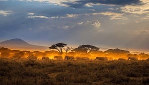 Nigeria-crypto-nieuwsgierig In deze landen is men het meest crypto nieuwsgierig
