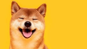 shiba-inu-prijs-stijgt Shiba inu (SHIB) koers stijgt 23% na prijsuitbraak