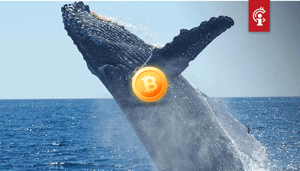 Aantal-bitcoin-whales-met-meer-dan-1.000-BTC-is-in-2019-enorm-gestegen-1 Aantal bitcoin whales met meer dan 1.000 BTC is in 2019 enorm gestegen