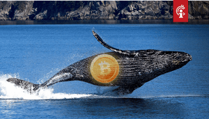 Bitcoin-BTC-whales-versturen-meer-dan-15-miljard-aan-BTC-1 Bitcoin (BTC) whales versturen meer dan €1,5 miljard aan BTC