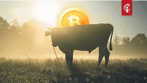 Bitcoin-BTC-zal-nog-een-bull-markt-doormaken-veel-groter-dan-de-eerste-1 "Bitcoin (BTC) zal nog een bull-markt doormaken, veel groter dan de eerste"