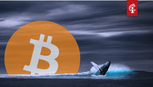 Nieuwe_grote_bitcoin_BTC_transacties_mogelijk_gekoppeld_aan_Chinese_ponzifraude-1 Nieuwe grote bitcoin (BTC) transacties mogelijk gekoppeld aan Chinese ponzifraude