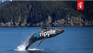 Ripple-verstuurt-31-miljoen-XRP-naar-wallet-voor-verkoop-1 Ripple verstuurt 31 miljoen XRP naar wallet voor verkoop