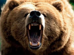 bear_markt_nog_niet_voorbij_bitcoin_verliest_75_procent_crypto_markt_daalt_met_30_miljard_dollar Bearmarkt nog niet voorbij: Bitcoin verliest 7,5%, cryptomarkt daalt met $30 miljard