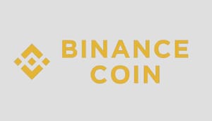 binance_coin_BNB_plus_13_procent_na_aanpassen_voorwaarden_binance_launchpad binance_coin_BNB_plus_13_procent_na_aanpassen_voorwaarden_binance_launchpad