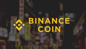 binance_coin_BNB_stijgt_tegen_bitcoin_BTC_naar_hoogste_prijsniveau_ooit binance_coin_BNB_stijgt_tegen_bitcoin_BTC_naar_hoogste_prijsniveau_ooit