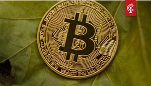 bitcoin_BTC_koers_in_stijgend_trendkanaal_op_weg_naar_de_volgende_horde bitcoin_BTC_koers_in_stijgend_trendkanaal_op_weg_naar_de_volgende_horde