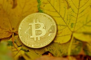 bitcoin_BTC_weet_stabiliteit_niet_te_handhaven_en_daalt_met_2_procent Bitcoin (BTC) weet stabiliteit niet te handhaven en daalt met 2%