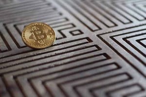 bitcoin_friday_met_david_stilte_voor_de_storm bitcoin_friday_met_david_stilte_voor_de_storm
