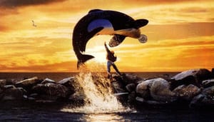 bitcoin_whales_kopen_enorme_hoeveelheden_BTC Bitcoin whales kopen enorme hoeveelheden BTC