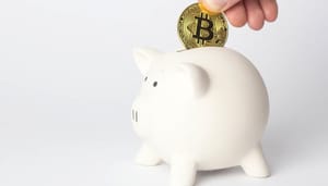 HODL! Maar 1,3% van de bitcoin (BTC) transacties zijn betalingen