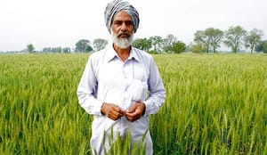 indiase_deelstaat_kerala_zet_toeleveringsketen_melk_en_vis_op_de_blockchain