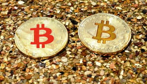 mike_novogratz_bitcoin_BTC_consolideert_waarschijnlijk_ergens_tussen_de_7000_en_10000_dollar Mike Novogratz: "bitcoin (BTC) consolideert waarschijnlijk ergens tussen $7.000 en $10.000"