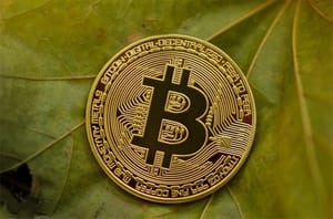 mogelijke_doorbraak_voor_bitcoin Bitcoin_(BTC)_viert_verjaardag_met_Proof_of_Keys_day_Not_your_keys,_not_your_coins