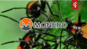 monero_XRM_maakt_kwetsbaarheden_bekend_waarmee_XMR_van_exchanges_gestolen_kon_worden monero_XRM_maakt_kwetsbaarheden_bekend_waarmee_XMR_van_exchanges_gestolen_kon_worden