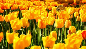 nederland_op_tweede_plek_in_top_5_google_trends_voor_zoekterm_bitcoin nederland_op_tweede_plek_in_top_5_google_trends_voor_zoekterm_bitcoin