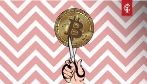 rechter_beveelt_craig_wright_helft_van_zijn_bitcoins_BTC_af_te_staan