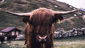 Bitcoin (BTC) koers weekanalyse: Bitcoin is Bullish!