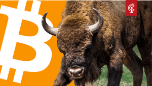 wekelijkse_bitcoin_BTC_koers_analyse_david_van_ineveld_de_stier_komt_terug
