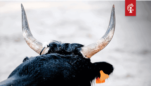Bitcoin (BTC) koers weekanalyse: De koers is nog steeds bullish