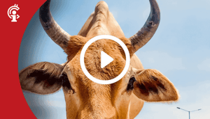 21sep Marktupdate 21-09-21: Bitcoin koers maakt beste schuiver. Deze altcoin toont bullish signalen