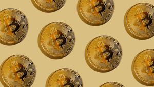 27_van_alle_bitcoins_in_handen_van_slechts_001 27% van alle bitcoins in handen van slechts 0,01%
