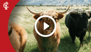 28sep Marktupdate 28-09-21: Bitcoin koers blijft onder belangrijke levels. Het wordt tijd dat bulls actie ondernemen!