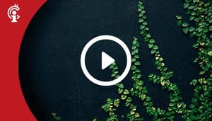 Marktupdate_25-11-21_Bitcoin_prijs_draait_op_lage_tijdframes_langzaam_positief
