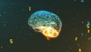 AI-USDC-crypto Circle-CEO zegt dat AI crypto wallets aanmaakt en USDC verhandelt