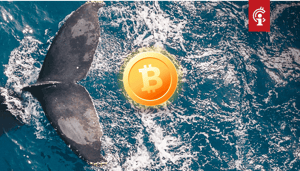 Aantal_bitcoin_whales_staat_het_hoogst_in_4_jaar_terwijl_BTC_op_exchanges_blijft_afnemen Aantal bitcoin whales staat het hoogst in 4 jaar terwijl BTC op exchanges blijft afnemen
