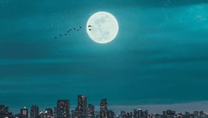 Ambitieus_crypto_bedrijf_MoonPay_haalt_555_miljoen_op Ambitieus crypto bedrijf MoonPay haalt $555 miljoen op
