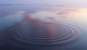 Bekende_econoom_ripple_heeft_een_fenomenale_risk-reward Bekende econoom ripple heeft een fenomenale risk-reward