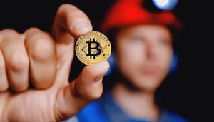 Bitcoin-miner-failliet Grote bitcoin miner Compute North vraagt faillissement aan