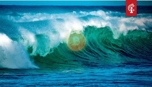 Bitcoin (BTC) analist Dave the Wave verwacht dat BTC koers tot hier kan dalen