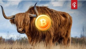 Bitcoin_BTC_analist_Willy_Woo_Volgende_bullrun_mogelijk_een_maand_verwijderd Bitcoin (BTC) analist Willy Woo: 'Volgende bullrun mogelijk een maand verwijderd'