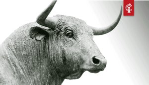 Bitcoin (BTC) analist legt in 30 tweets uit waarom hij bullish is