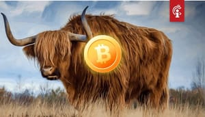 Bitcoin (BTC) bull en Wall Street-veteraan is "onverantwoord long" op bitcoin