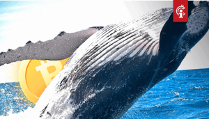 Bitcoin_BTC_halving_al_ingeprijsd_koers_gaat_wellicht_crashen_zegt_grote_bitcoin_whale Bitcoin (BTC) halving al ingeprijsd, koers gaat wellicht crashen, zegt grote bitcoin whale
