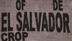 Bitcoin_BTC_in_El_Salvador_Fonds_van_150_miljoen_goedgekeurd_4_miljoen_gebruikers_verwacht Bitcoin (BTC) in El Salvador Fonds van $150 miljoen goedgekeurd, 4 miljoen gebruikers verwacht