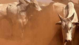 Bitcoin (BTC) koers stijgt door naar 50-MA, ripple (XRP) geniet van positief momentum, stijgt hard
