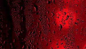 Bitcoin_BTC_koers_zet_daling_door_ondanks_dit_goede_nieuws_dogecoin_DOGE_crasht_hard_in_de_vangrail Bitcoin (BTC) koers zet daling door ondanks dit goede nieuws, dogecoin (DOGE) crasht hard in de vangrail