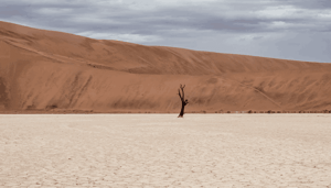 Bitcoin_BTC_mining_difficulty_daalt_hard_na_China_FUD_en_droogte Bitcoin (BTC) mining difficulty daalt hard na China FUD en droogte