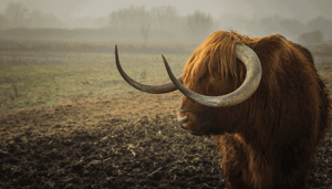 Bitcoin bullish weekend als we deze weerstand breken. John bekijkt ethereum, alpha finance en chainlink