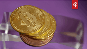Bitcoin_BTC_vindt_support_tezos_XTZ_bijna_15_in_de_plus_na_positief_nieuws Mike Novogratz: Wat heeft de koers van bitcoin (BTC) in twee maanden zo laten stijgen?