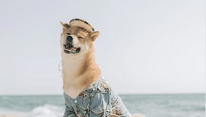 Bitcoin_koers_blijft_hangen_ethereum_dipt_verder_en_dogecoin_begint_na_Elon_Musk_tweet_te_stijgen Bitcoin koers blijft hangen, ethereum dipt verder en dogecoin begint na Elon Musk tweet te stijgen