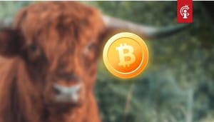 Bitcoin_koers_kan_in_2021_naar_100.000_stijgen_zegt_Dan_Held_van_cryptocurrency-exchange_Kraken Bitcoin koers kan in 2021 naar $100.000 stijgen, zegt Dan Held van cryptocurrency-exchange Kraken
