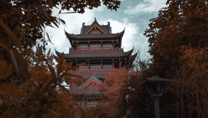 Bitcoin_koers_wordt_niet_aangedreven_door_de_halving_maar_door_Chinese_schuldencyclus_zegt_analist Bitcoin koers wordt niet aangedreven door de halving, maar door Chinese schuldencyclus, zegt analist